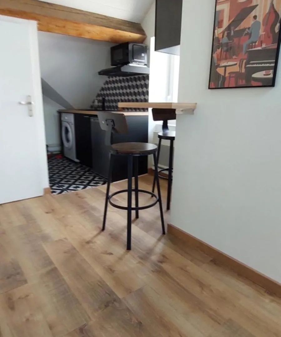 Alpine Stay Studio Mansarde Chorrier Berriat Clinique Mutualiste Grenoble Franciaország