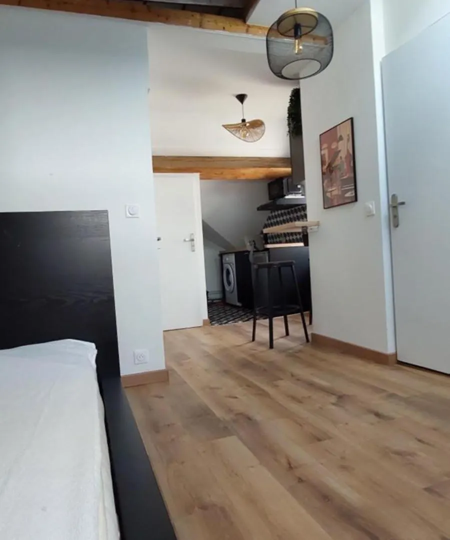 Alpine Stay Studio Mansarde Chorrier Berriat Clinique Mutualiste Grenoble