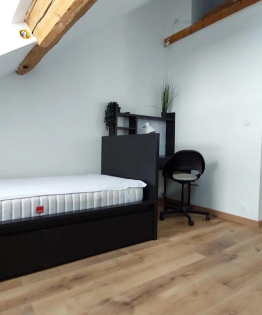 Alpine Stay Studio Mansarde Chorrier Berriat Clinique Mutualiste Grenoble Apartman